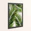 Palm Leaf III - Print-39523792-39523796