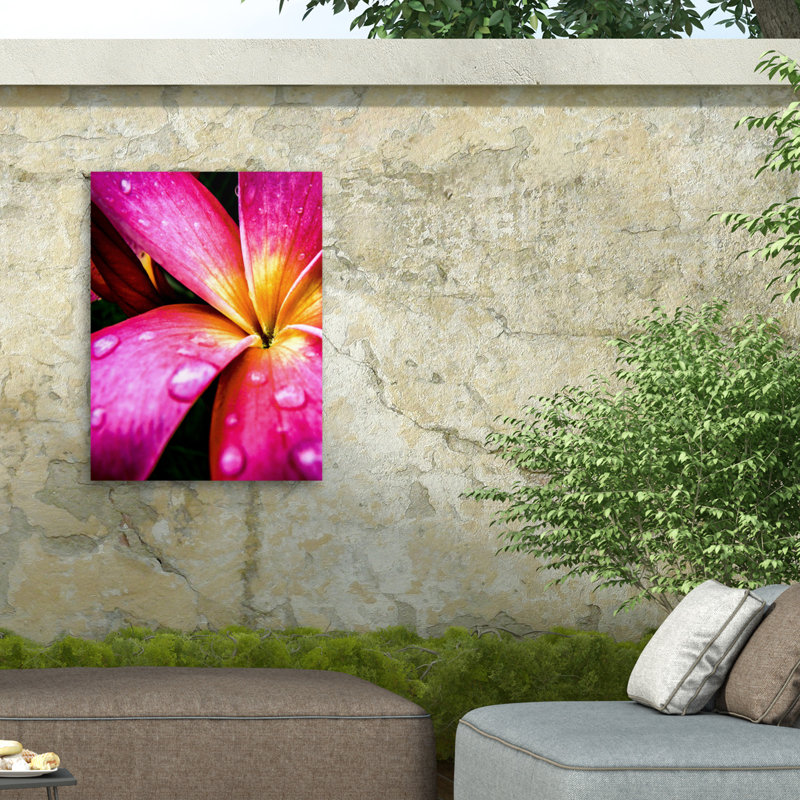 «Pink Over Yellow» sur toile par Rotem Ganor, H 32 po x l 24 po