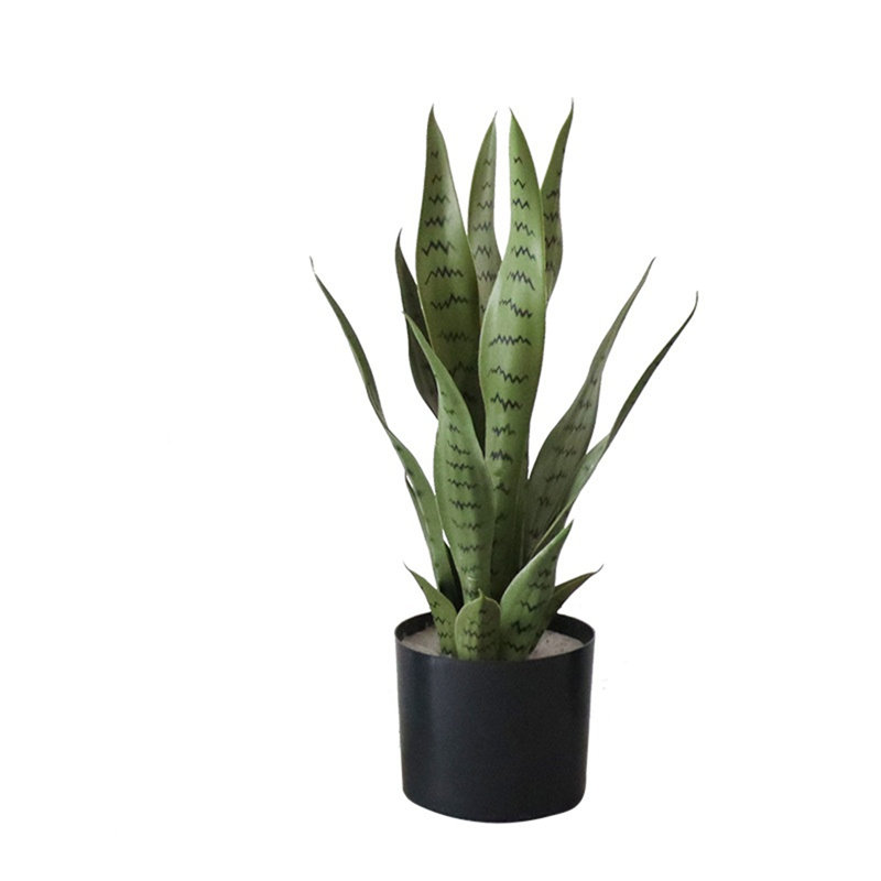 Plant, 105cm H x 15cm W x 50cm D