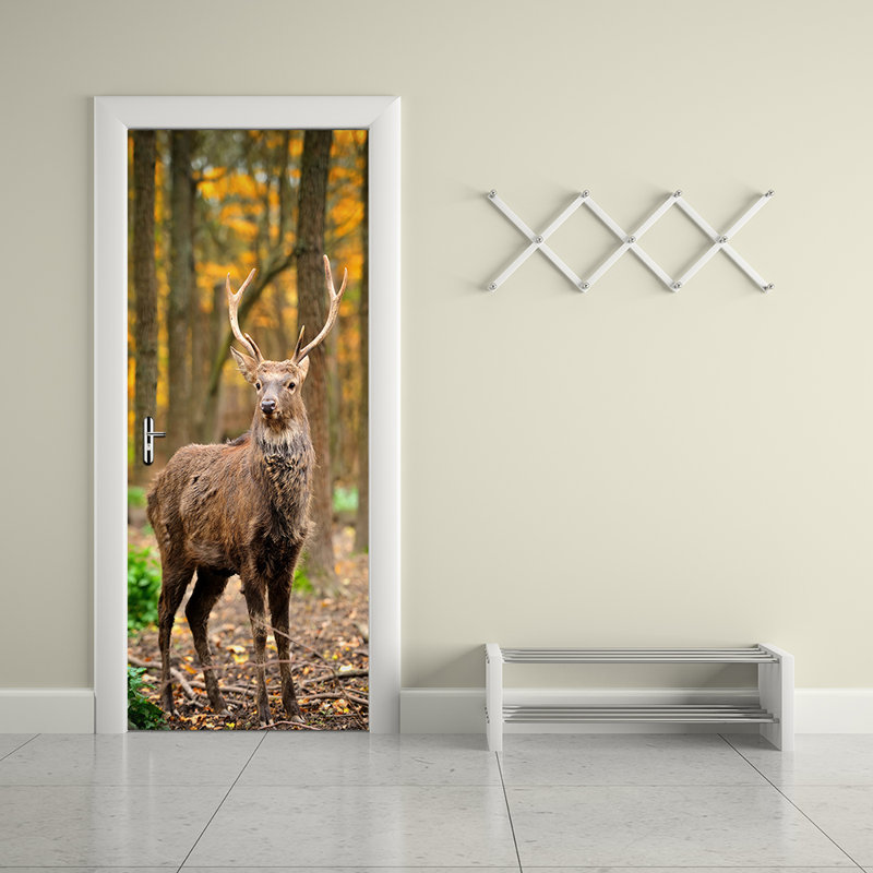 Animals Wall Decal