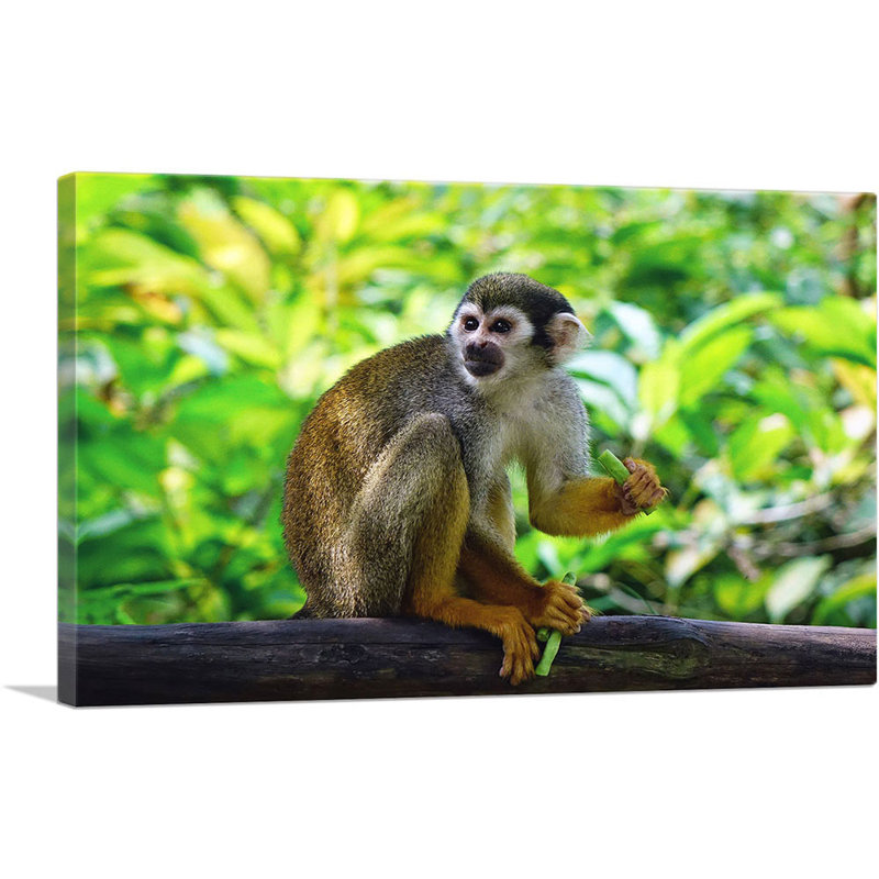 " Monkey In The Jungle ", 12" H x 18" W x 0.75" D