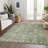 Machine Washable Indoor/Outdoor Xhevrie Aloe Rug-1223211313