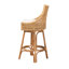 Bhagipuri 360 Swivel Rattan Counter & Bar Stool-86454393
