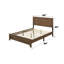  Lit standard Grider-274861321-347276101