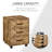 Erve 40cm Wide 3 -Drawer Mobile File Cabinet-1280572267