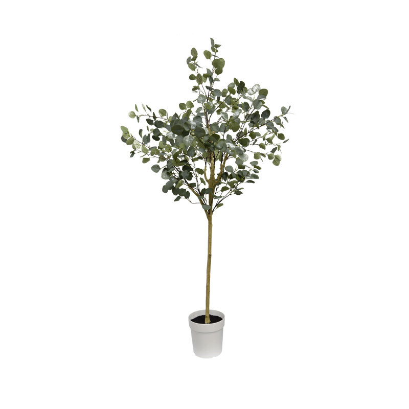 70'' Potted Silk Eucalyptus Tree in White Plastic Pot