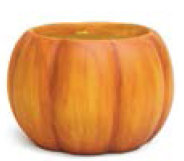 Faltin Ceramic Pot Planter