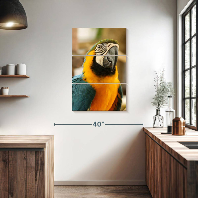 Brampt Exotic Macaw, 57" H x 36" W