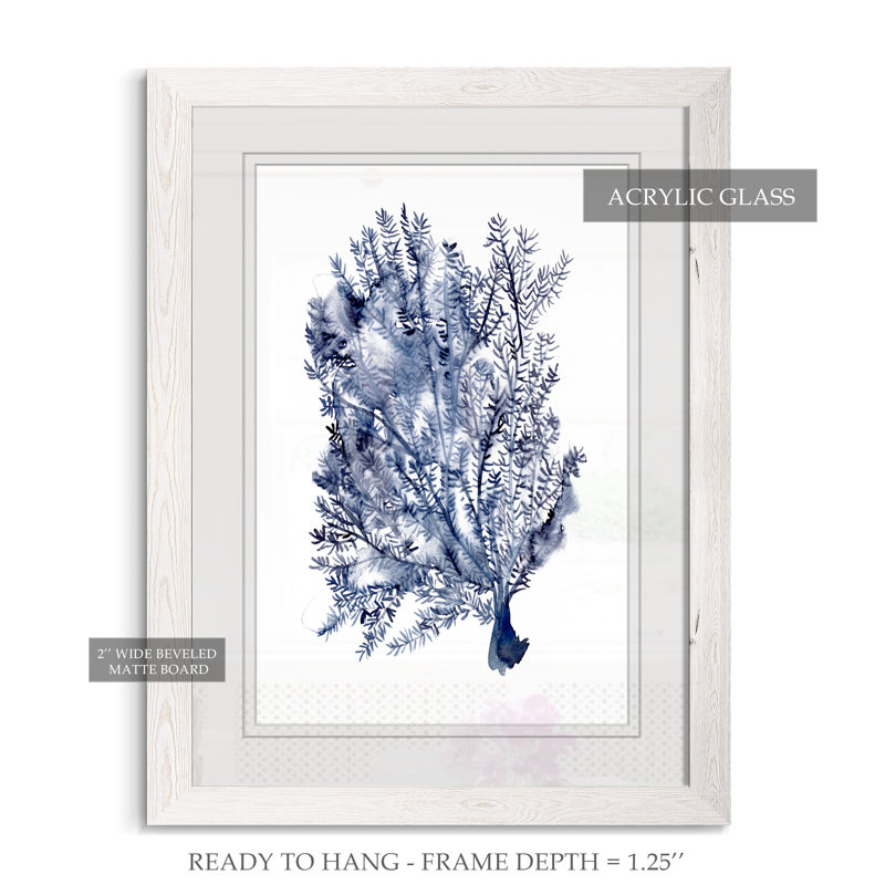«Seaweed Under Water II», reproduction sur verre encadrée, H 28 po x l 38 po x 1,25 po, Encadré imprimé blanc