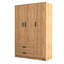 Vianne 3 Door Manufactured Wood Wardrobe-1317848050
