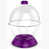 Violet est en rupture de stock