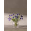 Victoria Hurricane Candle Holder-1246221211-1246221209