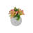 No Power Source Essential Oil Diffusers
