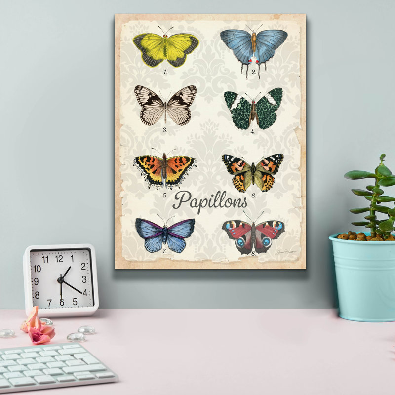  «Beautiful Papillon Study A» par Jean Plout, art mural sur toile, 12 po x 16 po, H 16 po x l 12 po