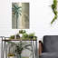 «Palm Study II» par NBL Studio-1952477436
