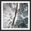 Karolis Janulis - Single Picture Frame Print-231320700