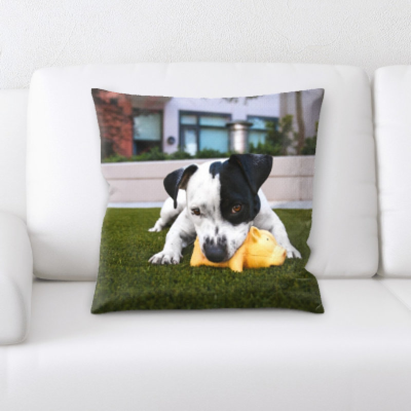 Coussin décoratif animal Eaman