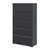 Noir sélectionné
