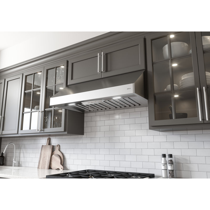 Tempest I 36 in. 650 CFM Under Cabinet Mount Range Hood with LED Light in Stainless Steel, 48"