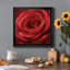 Solo Solo - photographie sur toile encadrée-96482037-96482041