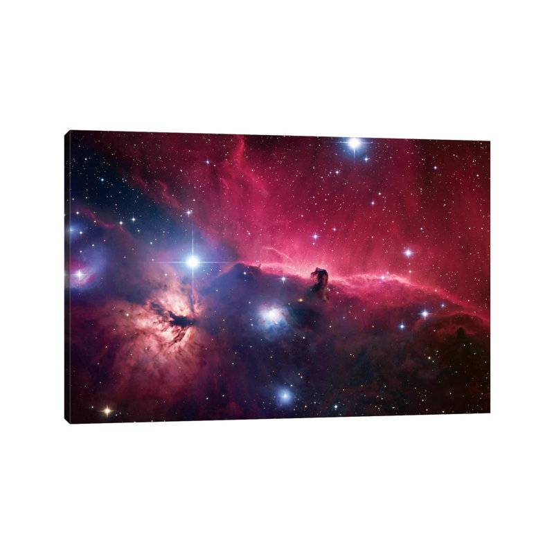 The Horsehead Nebula Region by Robert Gendler - Wrapped Canvas Gallery-Wrapped Canvas Giclée, 20.32 cm H x 30.48 cm W