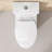 One-Piece Toilet, 1.1/1.60 GPF Water-Efficient Dual-Flush Elongated Comfort Height Floor Mounted, Standard-Size Toilet With Soft Closing Seat Included, Glossy White