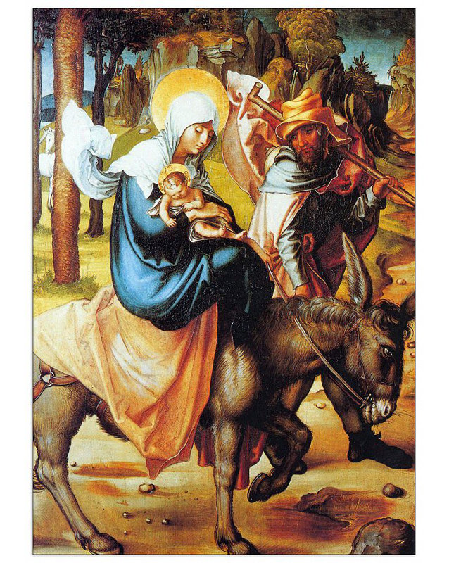 Albrecht Dürer - Wrapped Canvas Painting