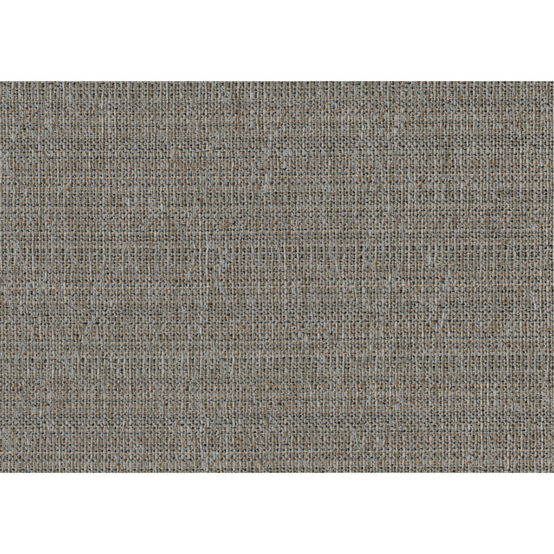 Ensemble de chaises d'appoint de style traditionnel 2 pièces