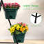 Jardin vertical Cailidh-995686259