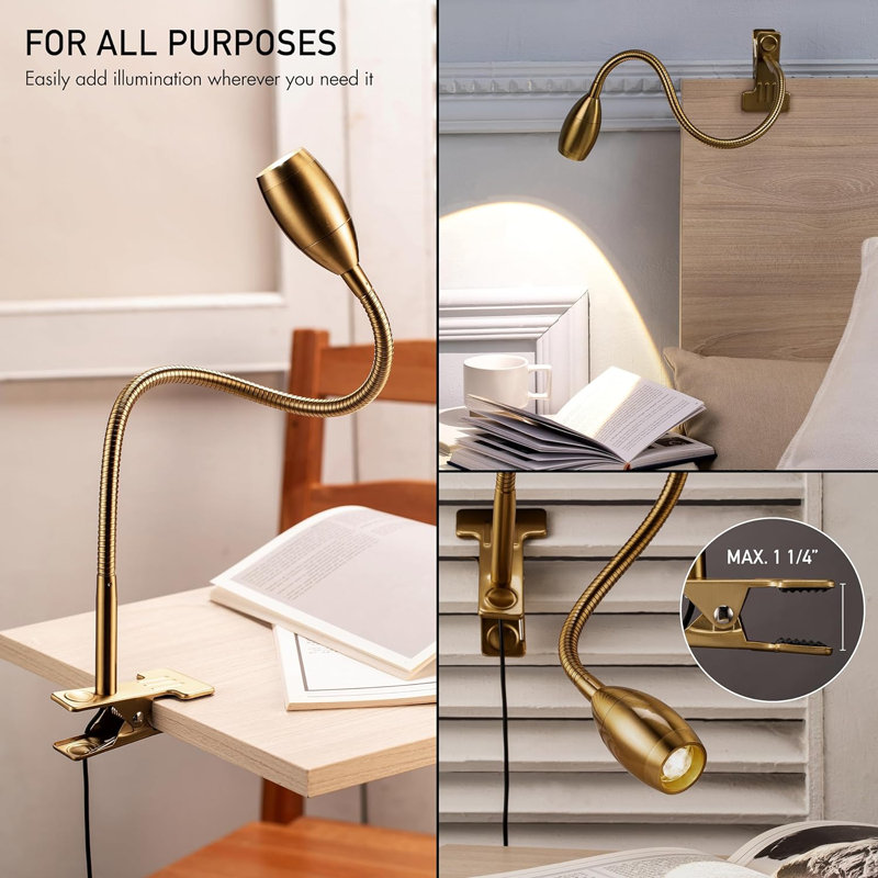 Zerline Adjustable Metal Clip-on Lamp 360 Degree Flexible Gooseneck Lamp, Brass