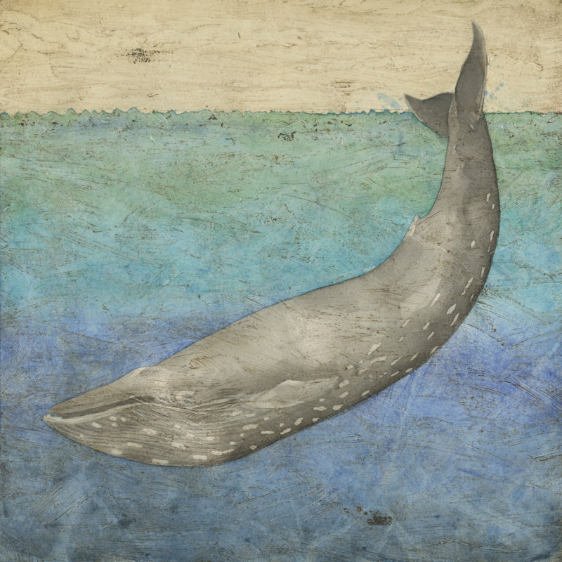 Diving Whale I by Megan Meagher - Wrapped Canvas Painting, 122cm H x 122cm W