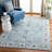 Delmer Performance Oriental Rug-1304339828
