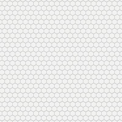 Metro 1" Hex Matte White 10-1/4" x 11-7/8" Porcelain Mosaic Floor and Wall Tile