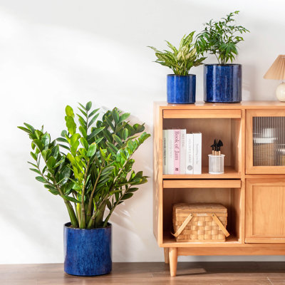 ZTHPOT Ceramic Pot Planter