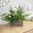Wooden Log And Twig Flower Box Planters - 11.75" - Set Of 2
