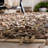 Arik Indoor Rug-356901841