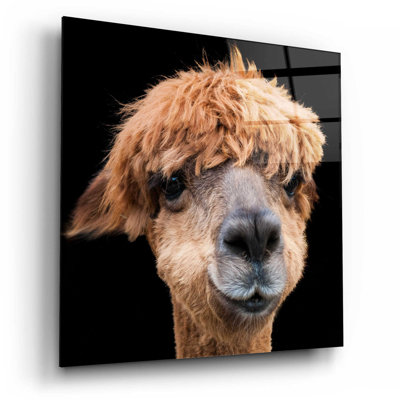 " Hippy Lama " by Epic Portfolio