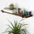 Solid Wood Bracket Shelf with Live Edge
