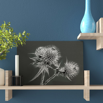 Thistle - Wrapped Canvas