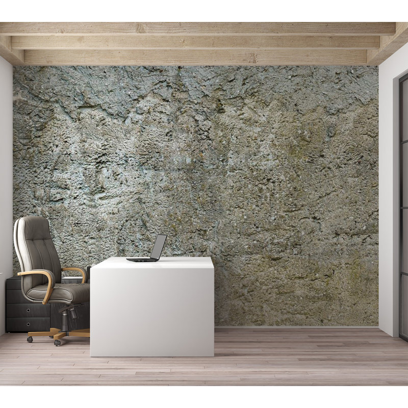 Murale Stony Barriere, L 27 po x l 39 po