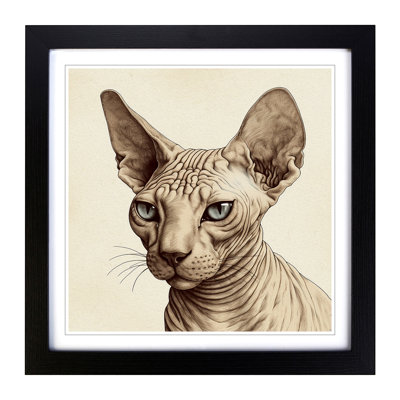Sphynx Cat Drawing - Framed Print