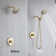 Handheld Shower Head 2.5 GPM GPM