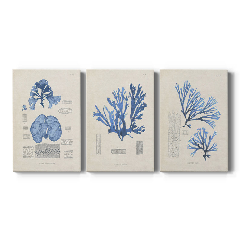 Blue Marine Algae IV - Toile tendue avec châssis sur mesure - 3 pièces, H 12 po x l 24 po