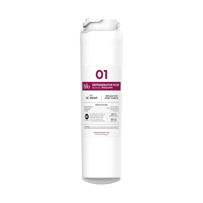 Remplacement du filtre à eau pour réfrigérateur Brio 6022A pour GE MSWF, 101820A, 101821B, RWF1500A