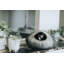 Skyline Cat Cave-1148549455