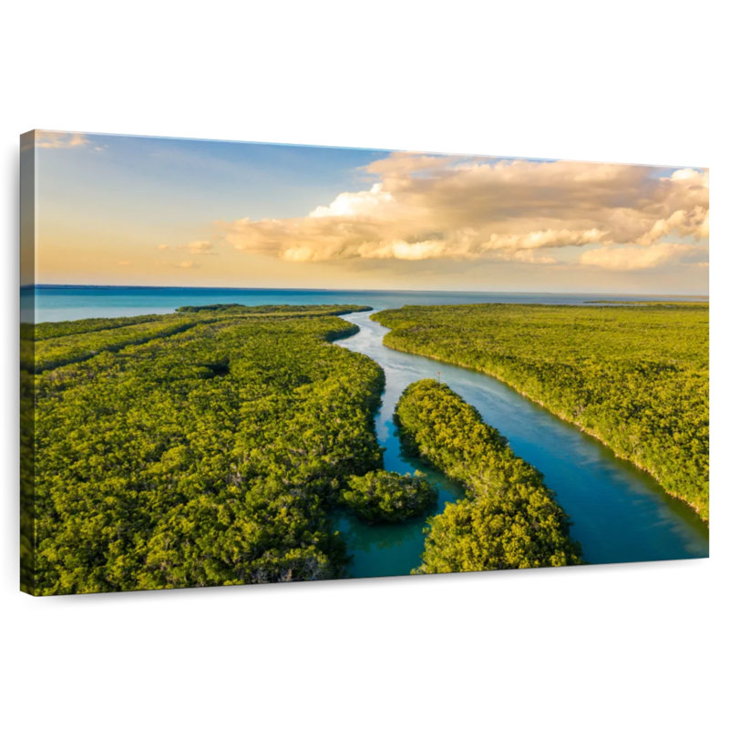 Parc national des Everglades d'Alvord, H 34 po x l 51 po