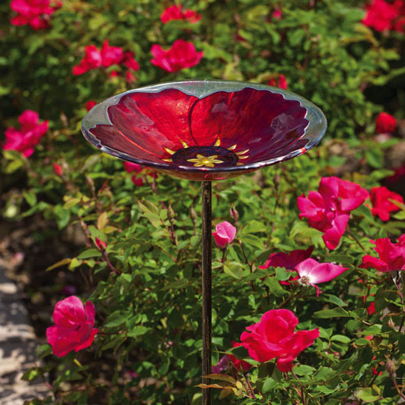 Birdbath
