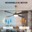 Blandino 54'' Ceiling Fan with LED Lights-605200255