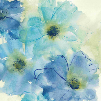 Coquillage cosmos II