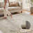 Soft Taupe Machine Washable Vintage Area Rug For Living Room, Bedroom-130544538-117397858